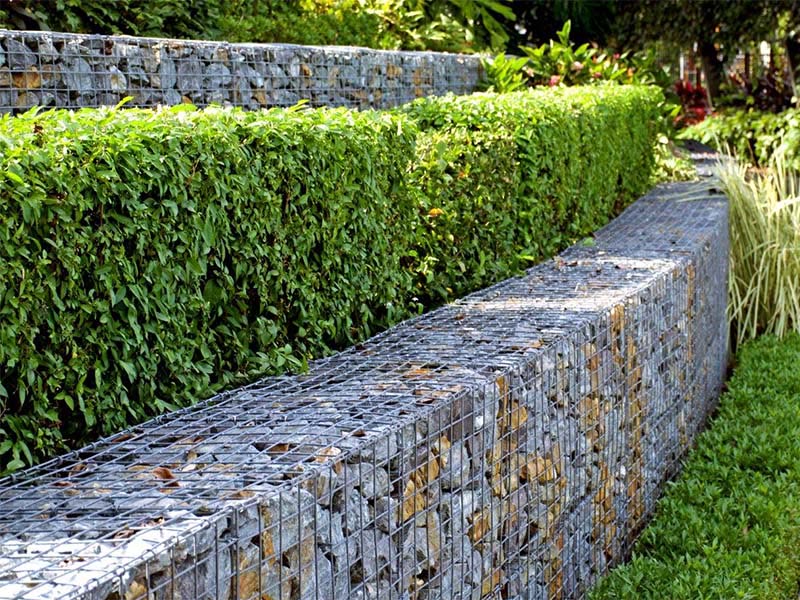 Terraced gabion walls with hedging, Sydney